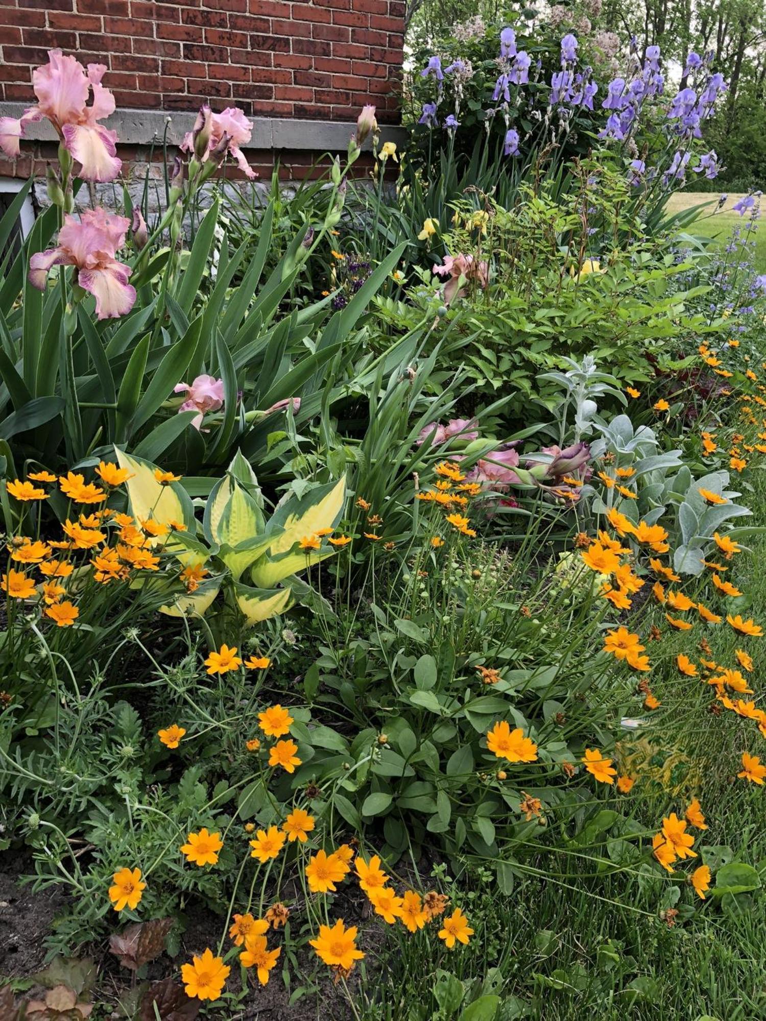The Vine Bed & Breakfast, Llc Dundee Esterno foto