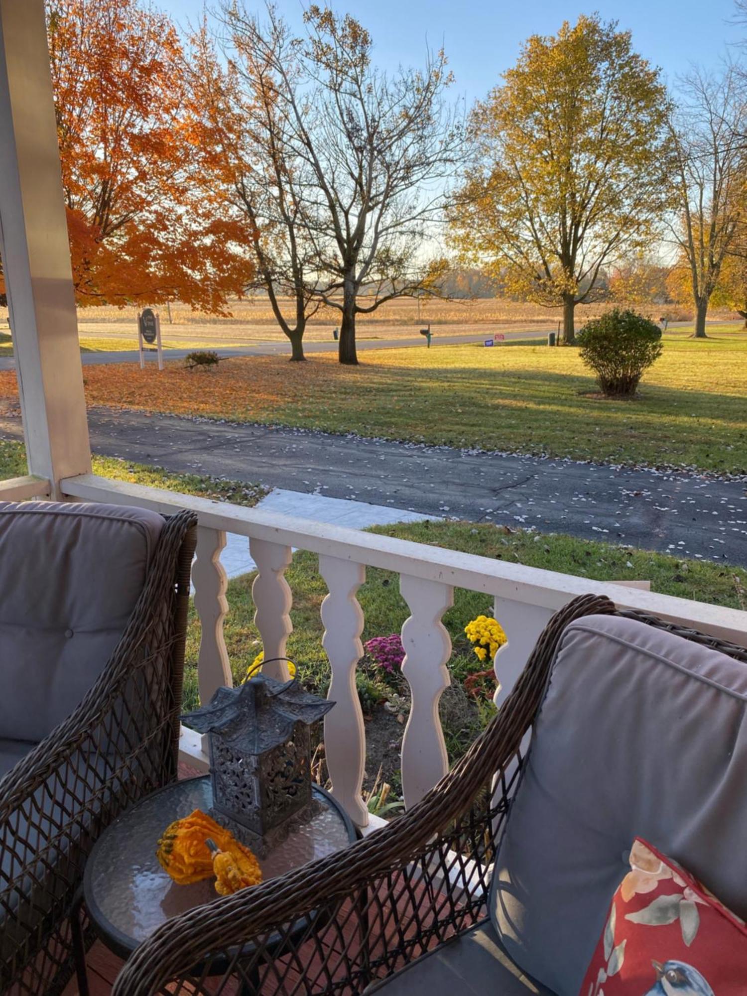 The Vine Bed & Breakfast, Llc Dundee Esterno foto