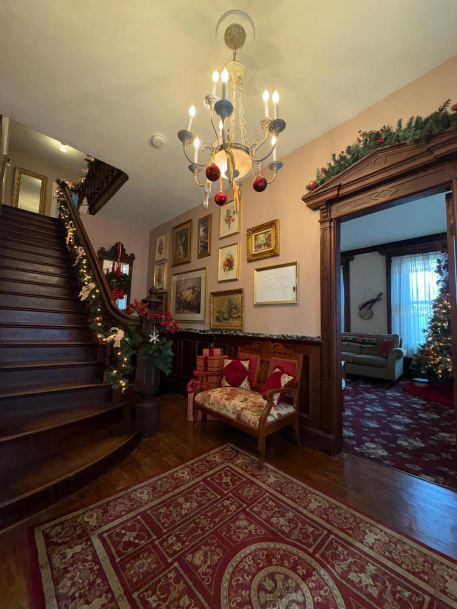 The Vine Bed & Breakfast, Llc Dundee Esterno foto