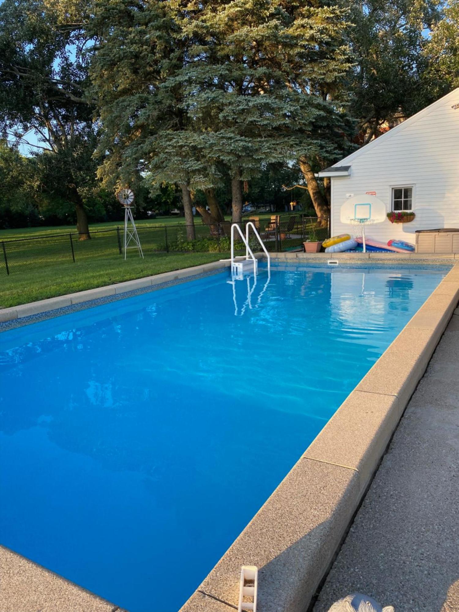 The Vine Bed & Breakfast, Llc Dundee Esterno foto