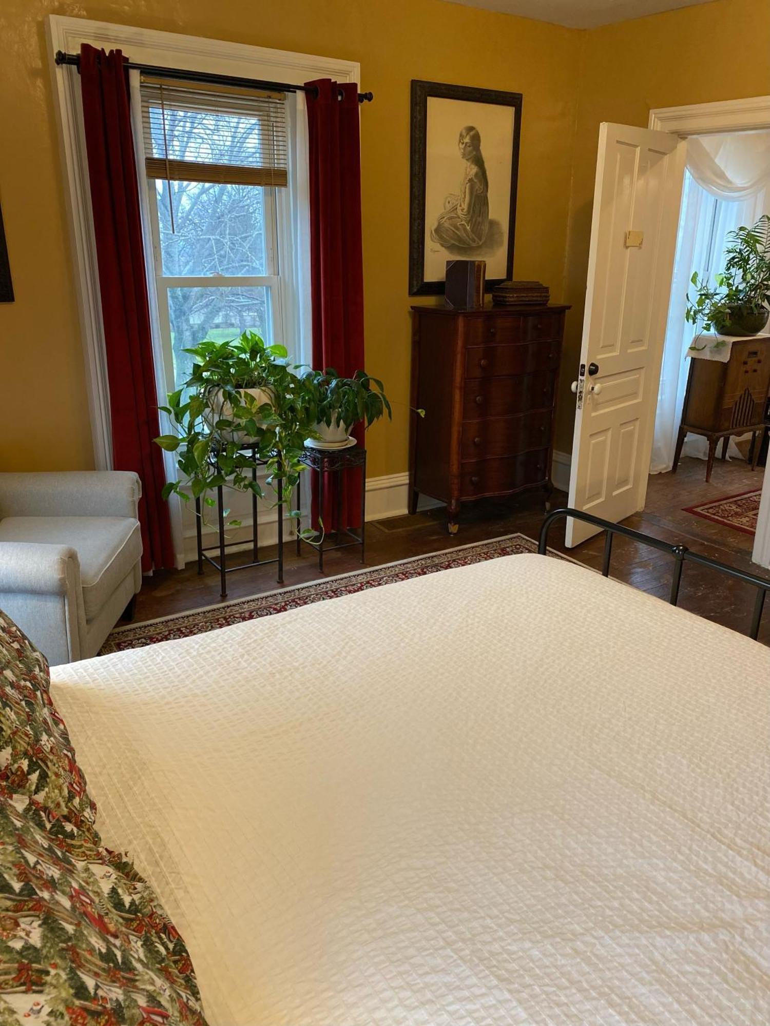 The Vine Bed & Breakfast, Llc Dundee Esterno foto